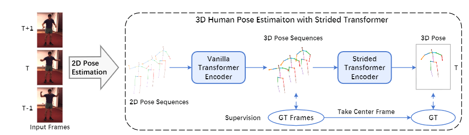 Paper Reading: Exploiting Temporal Contexts with StridedTransformer for 3D Human Pose Estimation